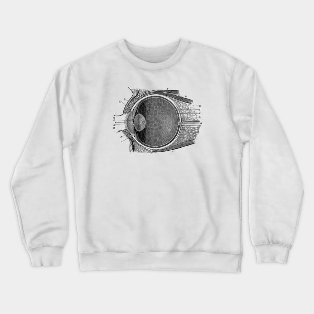 Unlabeled Eye Anatomy Diagram - Vintage Anatomy Crewneck Sweatshirt by Vintage Anatomy Prints